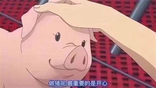 别拿知识付费说投资，跟打自己的脸没什么区别 经验心得 第4张