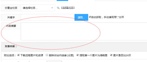 SEO实操分享：细节决定网站排名，文章排名百度首页 网站运营 站长 SEO优化 经验心得 第11张