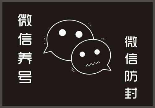 2019最新微信养号攻略 互联网 自媒体 微信 好文分享 第1张