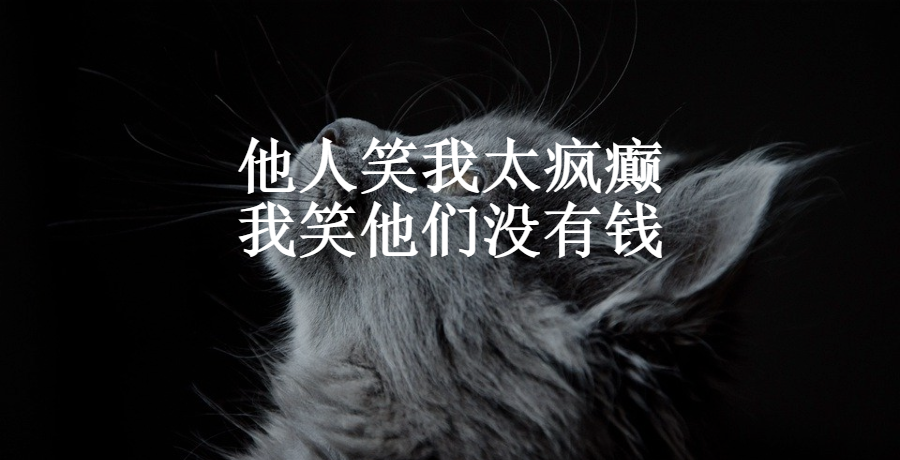 他人笑我太疯癫,我笑他们没有钱 赚钱 互联网 好文分享 第1张 他人笑我太疯癫,我笑他们没有钱 赚钱 互联网 好文分享 第1张